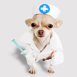 Ветпомощь на дому Грэсовского